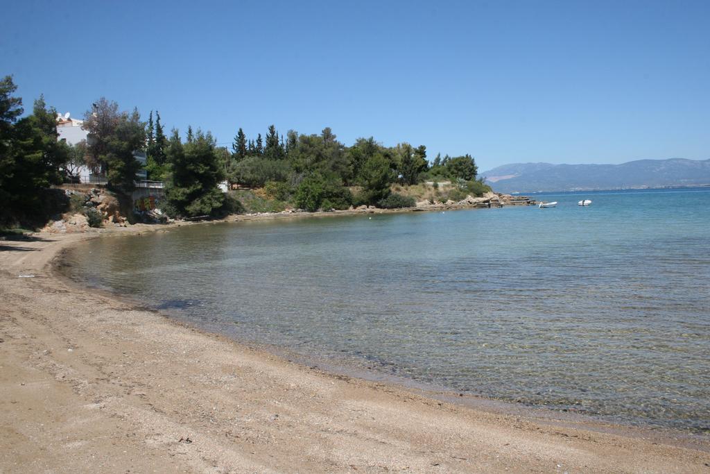 Chalkida Apartments Εξωτερικό φωτογραφία