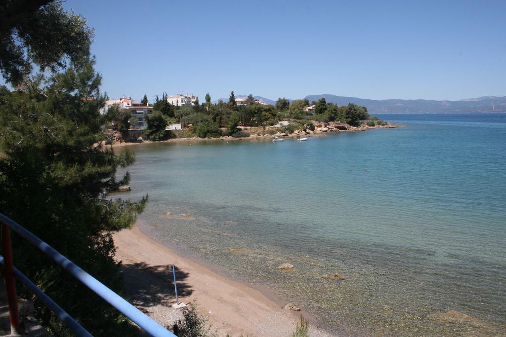 Chalkida Apartments Εξωτερικό φωτογραφία